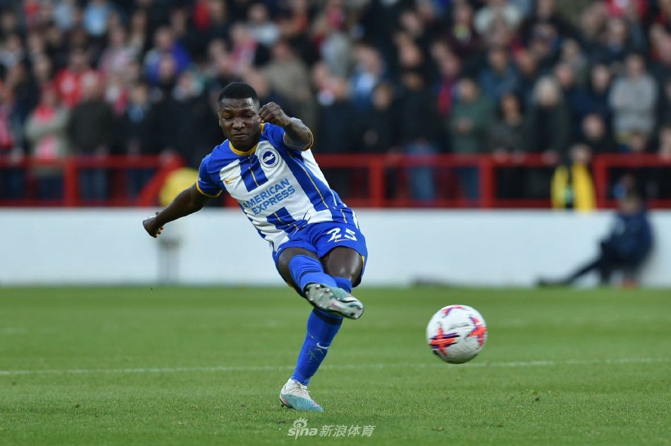 了亮眼的一 了亮眼的一